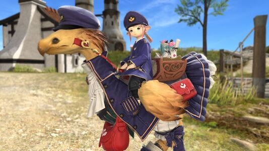 Postmoogle Barding2.jpg