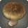 Chanterelle Icon.png