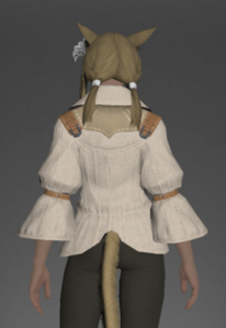 Cotton Shirt rear.png