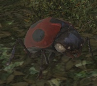 Little Ladybug.jpg