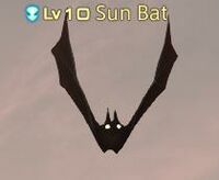 Sun Bat.jpg