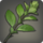 Bayberry icon1.png