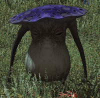 Enchanted Funguar.png