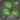 Eucalyptus icon1.png