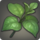 Eucalyptus icon1.png