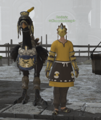 Chocobokeep Roderic npc.png