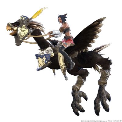 Black chocobo1.jpg