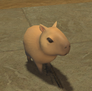 Capybara Pup.png