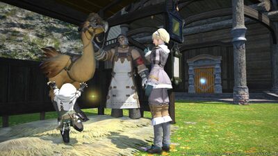 Chocobo raising1.jpg