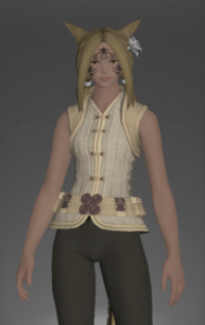 Amateur's Doublet Vest front.png