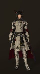 Chivalrous set black a.jpg