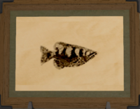 Archerfish print.png