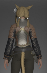 Steel Cuirass rear.png