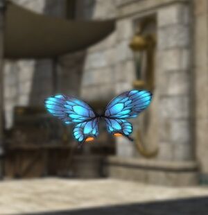 Morpho1.jpg