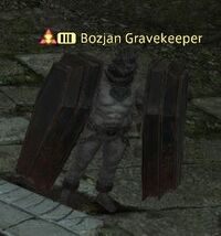 Bozjan Gravekeeper.jpg