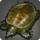 Mayashell icon1.png