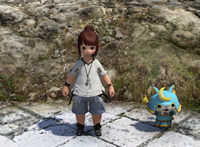 Minion Enthusiast (Limsa Lominsa).png