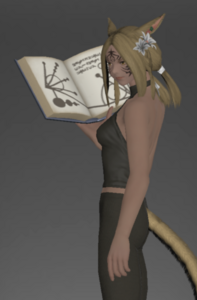 Book of Mythril inside.png