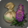 Lupin seeds icon1.png