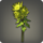 Yellow chrysanthemums icon1.png