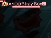 Stray Box.jpg