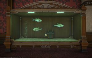 Dark bass aquarium1.jpg