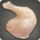 Gastornis thigh icon1.png