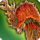 Phaethon icon2.png