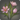 Pleasant-smelling petals icon1.png