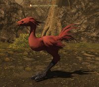 Courser Chocobo.jpg