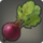 Island Beet.png