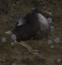 Fat Dodo.png