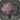 Eastern cherry tree icon1.png