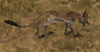 Wild Jackal.png