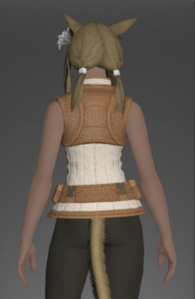 Initiate's Doublet Vest rear.png